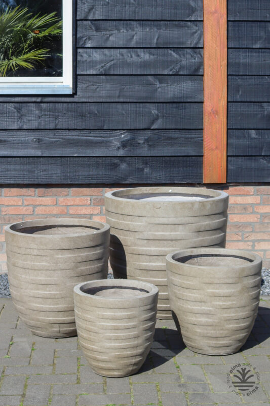 IMG6631 | Kwekerij Elma