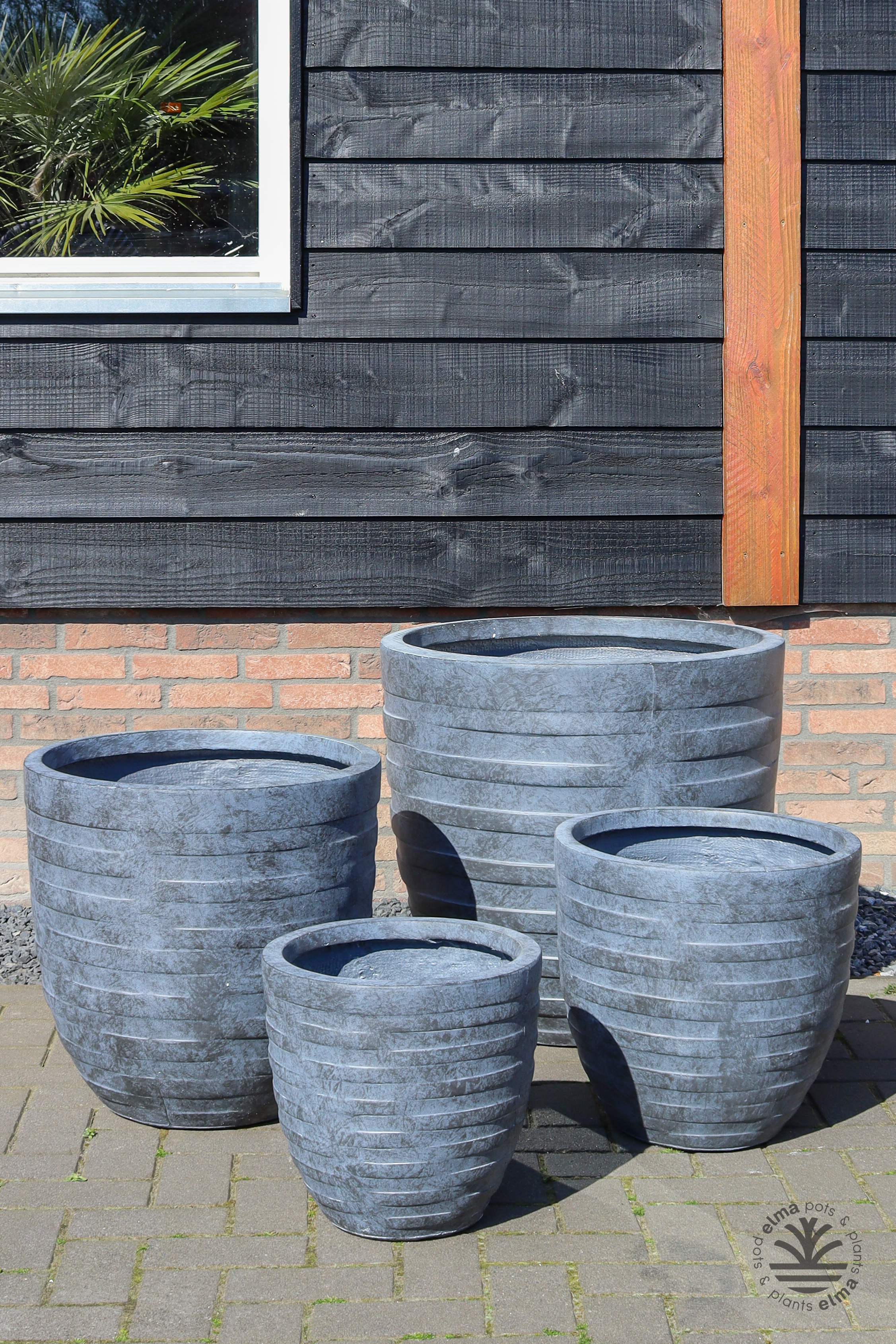 IMG6636 | Kwekerij Elma