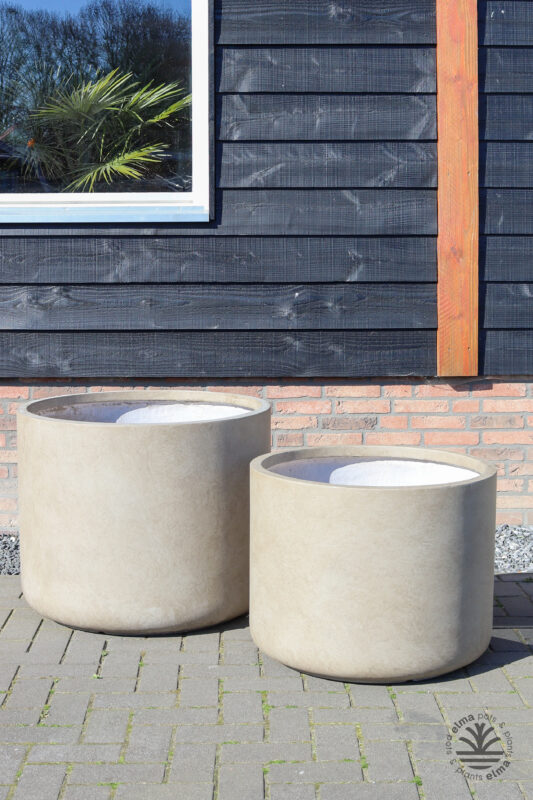 IMG6662 | Kwekerij Elma