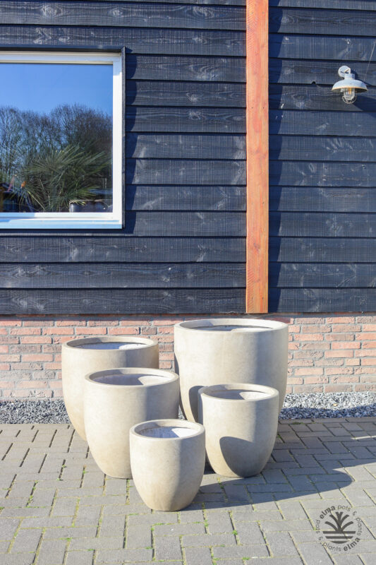 IMG6689 | Kwekerij Elma