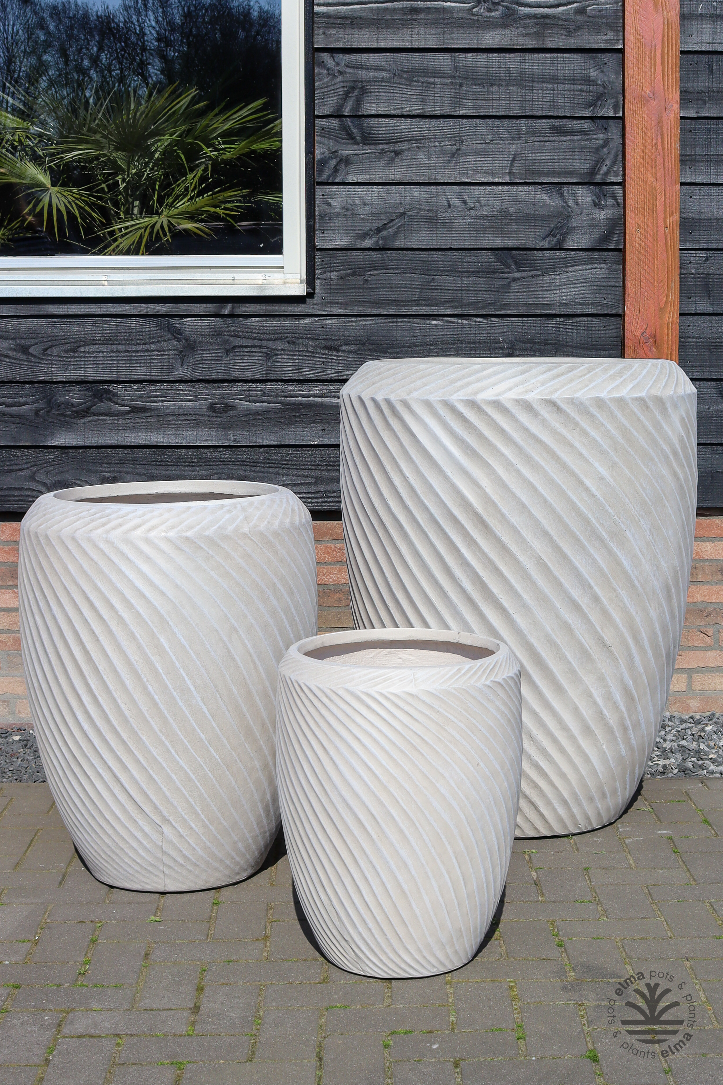 IMG6717 | Kwekerij Elma