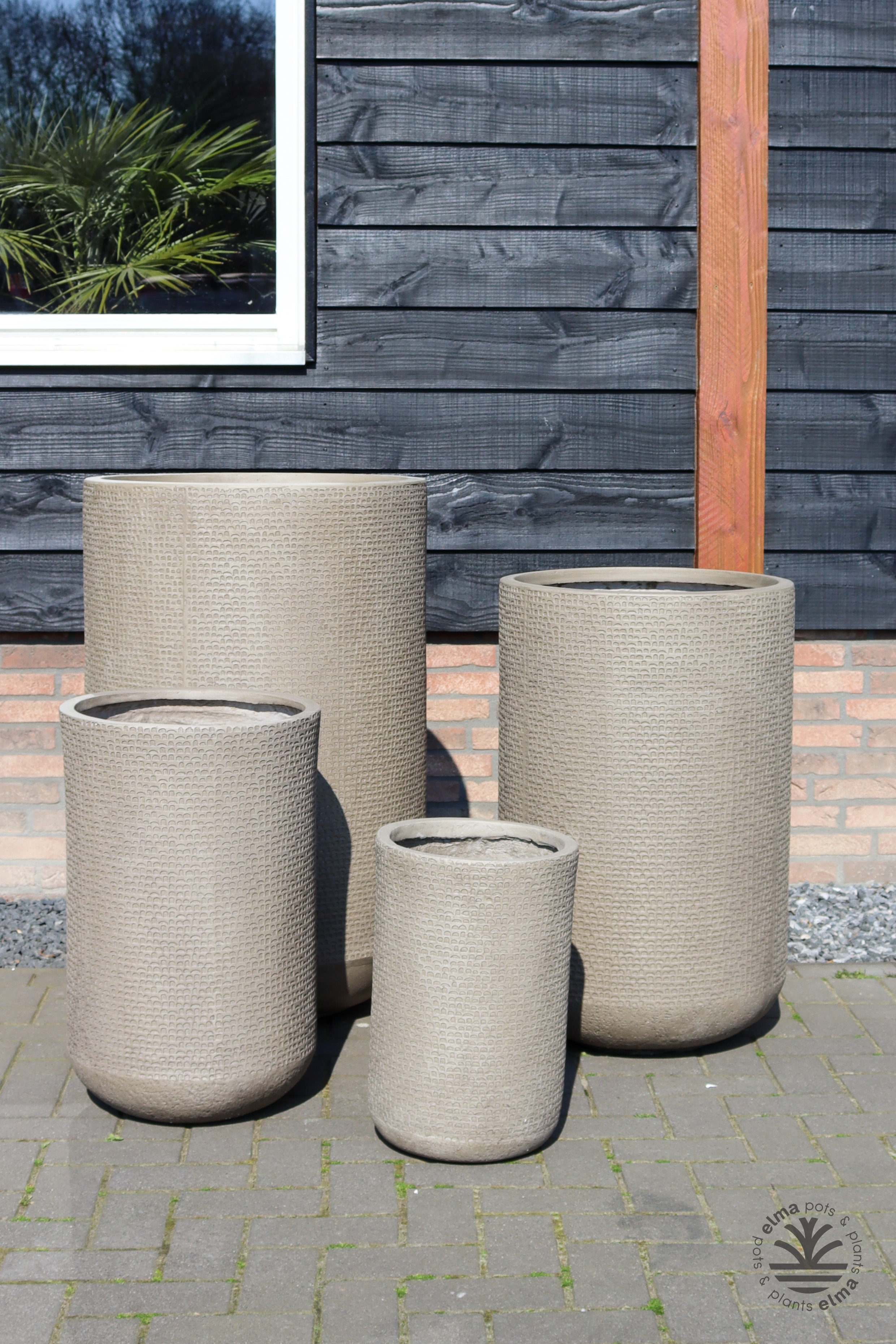 IMG6727 | Kwekerij Elma